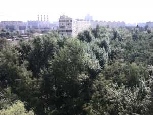 Пример снимка фронтальной камерой смартфона Huawei Ascend P6