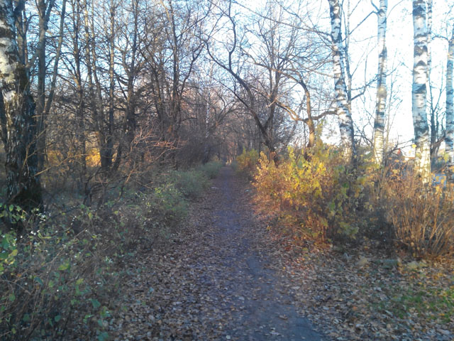 Обзор Iconbit Mercury XL. Демонстрационный снимок