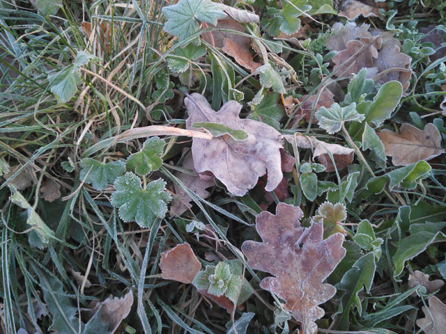 Обзор Iconbit Mercury XL. Демонстрационный снимок