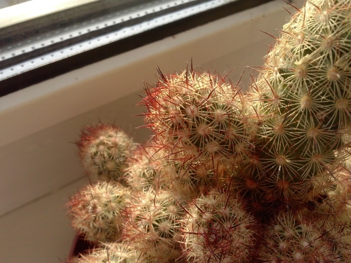 Обзор LG Optimus L9