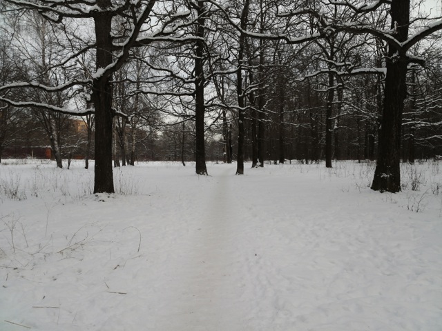 Обзор Pantech Vega Iron. Демонстрационный снимок