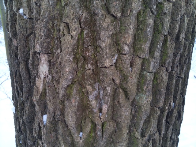 Обзор Pantech Vega Iron. Демонстрационный снимок