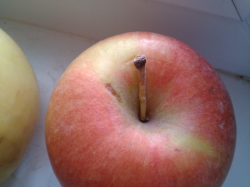 Обзор Sharp Aquos Phone SH930W