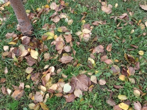 Обзор коммуникатора Sony Xperia acro S