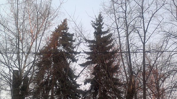 Бизнес-коммуникатор Nokia E7