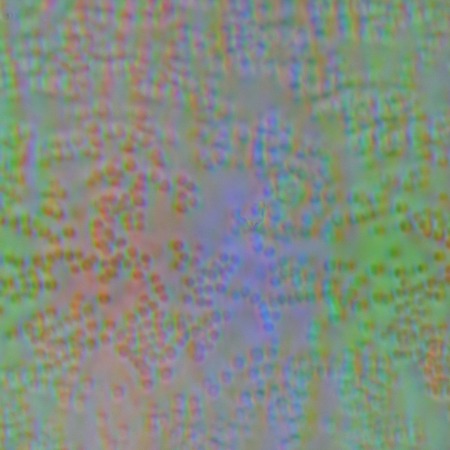 ЖК-монитор Asus MG28UQ, Микрофотографии матрицы