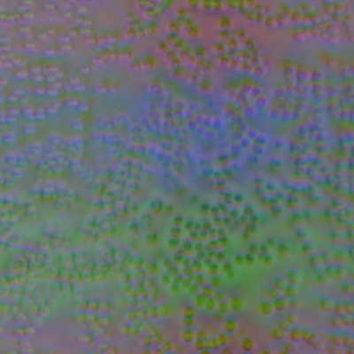 ЖК-монитор Asus PB287Q, Микрофотографии матрицы