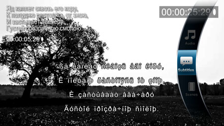 Медиаплеер Popcorn Hour A-400