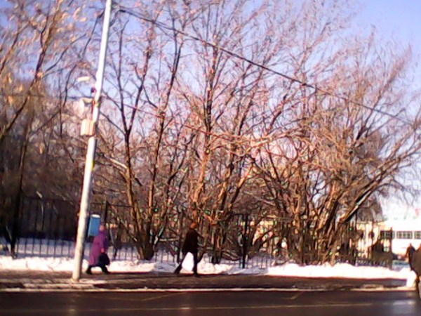 Фотографии с планшета 3Q MT7801C