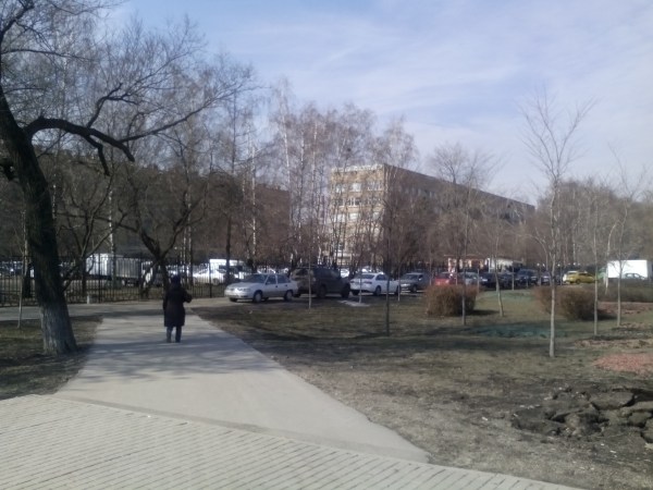 Фотографии с планшета Alcatel OneTouch Hero 8