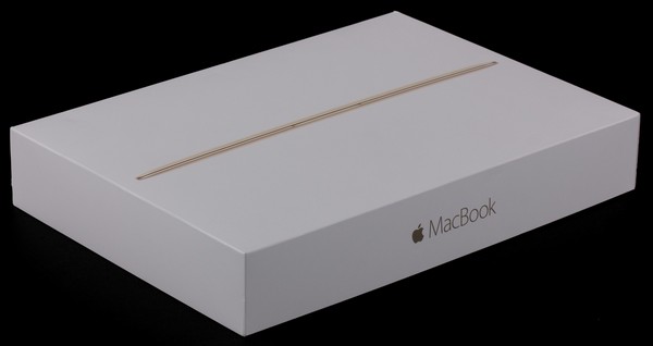 12-дюймовый ноутбук Apple MacBook Retina (Early 2015)