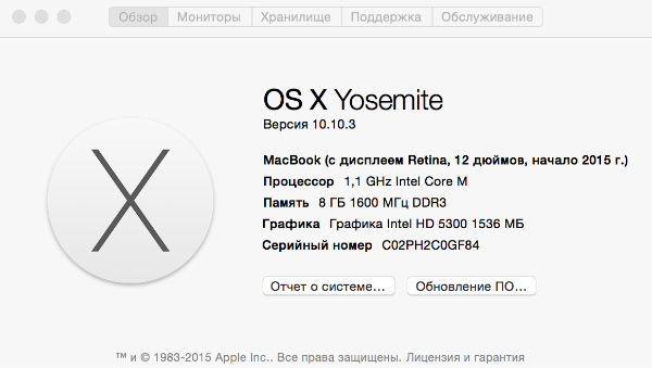 Скриншот с 12-дюймового ноутбука Apple MacBook Retina (Early 2015)