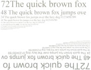 ������ ������