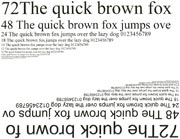 ������ ������