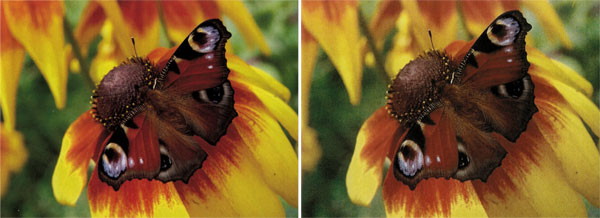 Lexmark CX410de, цветное копирование: слева оригинал, справа копия