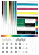 Копии тестовой полосы