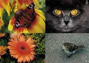 Печать фотографий