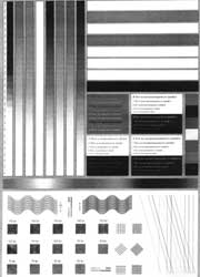 ����� �������� ������