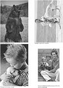 ������ ����������