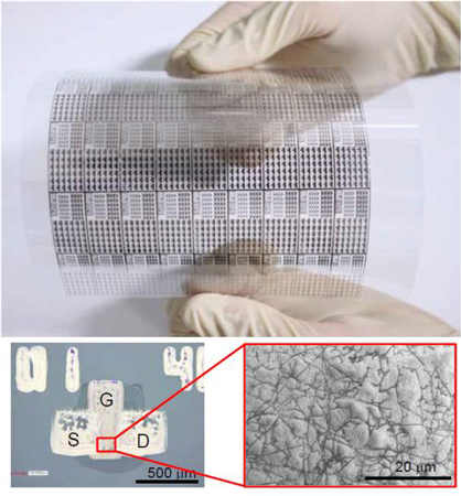 Японские специалисты использовали флексографическую печать нанотрубками для изготовления гибких дисплеев