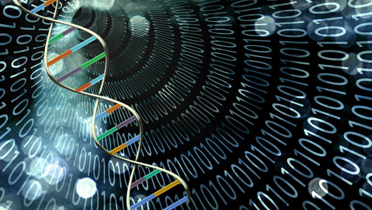 Биологический транзистор построен из генетического материала — ДНК и РНК