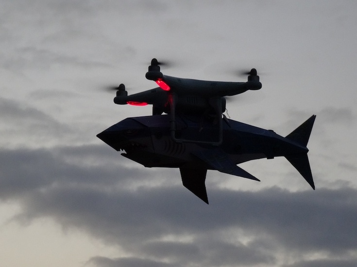 Австралия будет бороться с акулами при помощи дронов