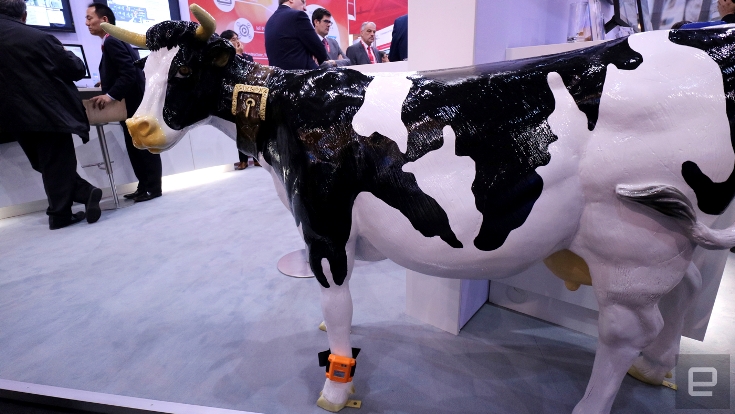 Fujitsu EDSC поможет фермерам в разведении крупного рогатого скота