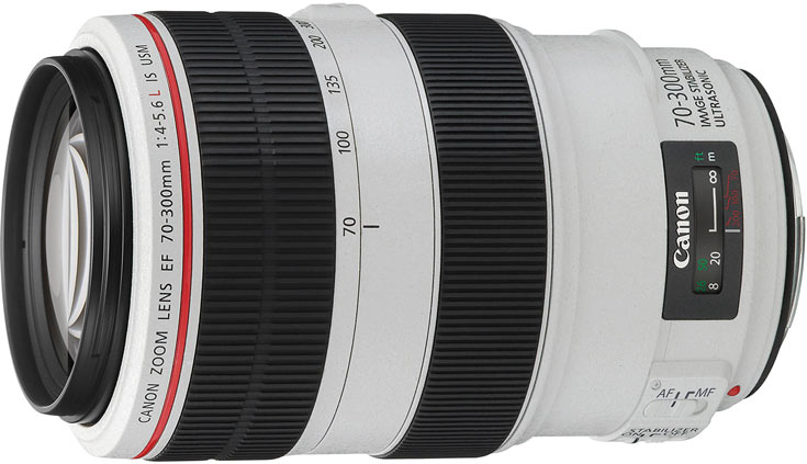 Возможно, новый объектив Canon EF получит винтовой шаговый привод STM