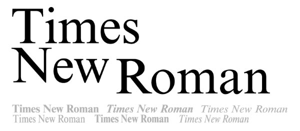 Шрифт Times New Roman в России могут заменить на отечественный вариант
