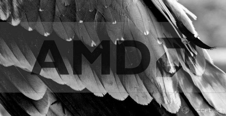В 2019 году AMD представит процессоры Gray Hawk