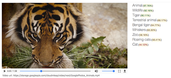 Google представила новую технологию, позволяющую идентифицировать содержимое видеороликов
