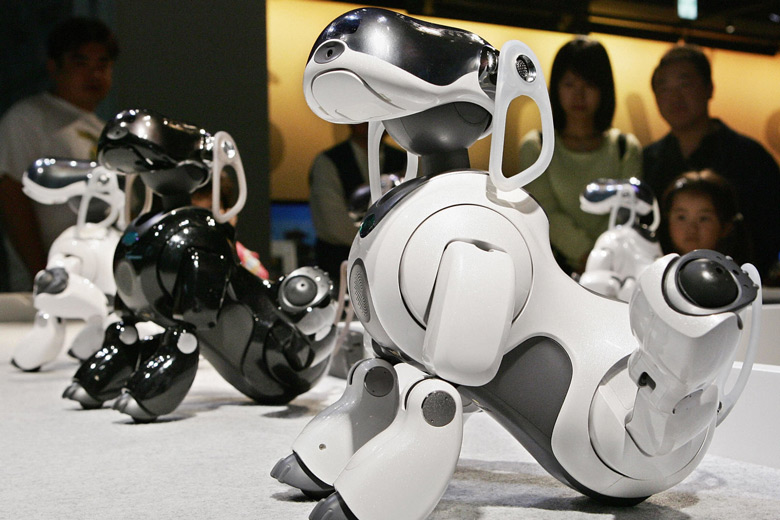 В создании нового робота примут участие разработчики Aibo
