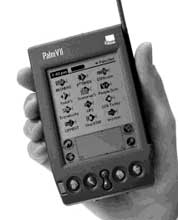 Palm VII
