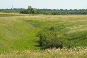 Capture One Pro 3.7.7 + Standard Look