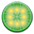 LimeWare 4.18.8