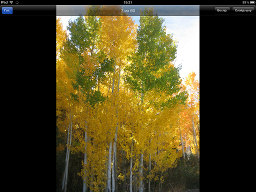 Программа GoFlex Media на iOS