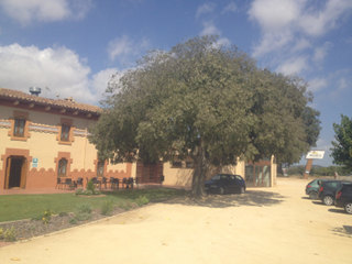 Фотосъемка с чехлом Krusell на воздухе